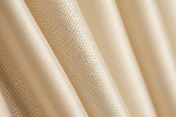 Silk Curtains