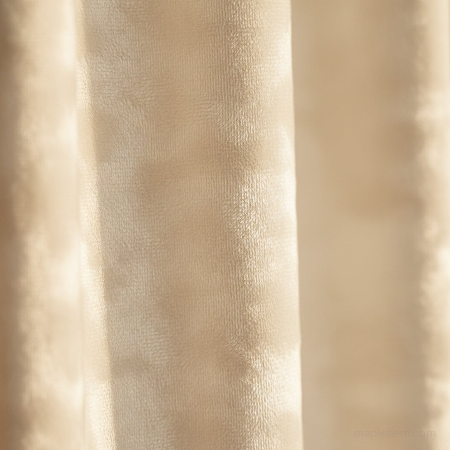 cream-white-swatch