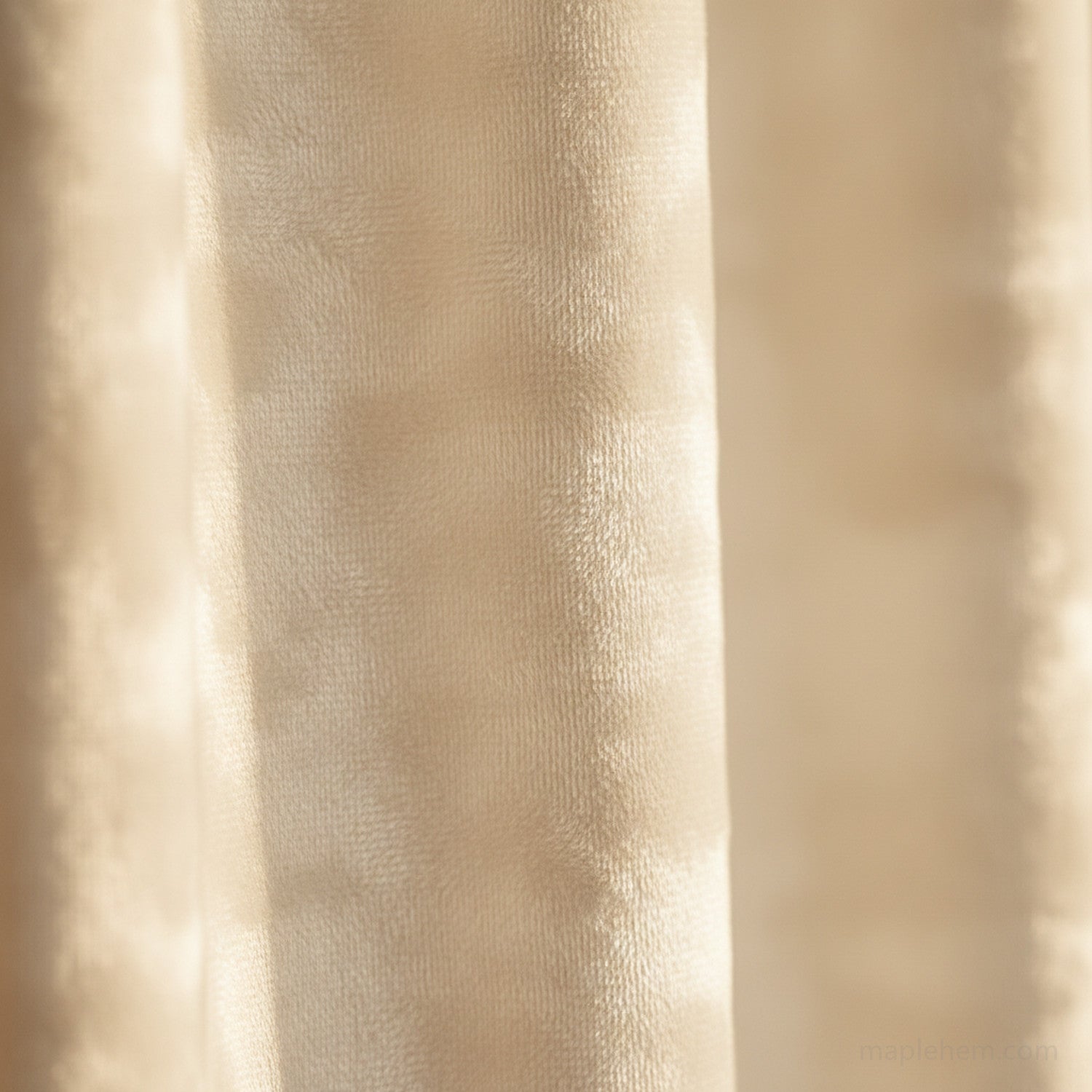 cream-white-swatch
